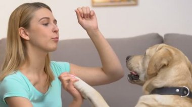 Kadın öğretim köpek komutları, Evcil hayvan ev eğitimi, hayvan itaat, davranış