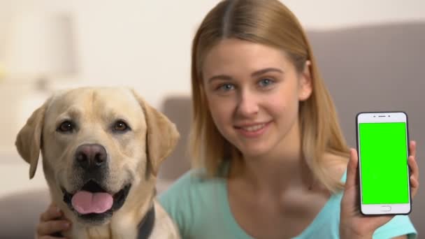 Sonriente hembra sosteniendo el teléfono inteligente de pantalla verde, perro abrazador, aplicación en línea — Vídeos de Stock