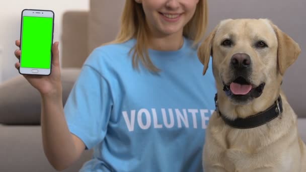 Vrouwelijke vrijwilliger tonen smartphone met groen scherm, hond kijken naar camera — Stockvideo