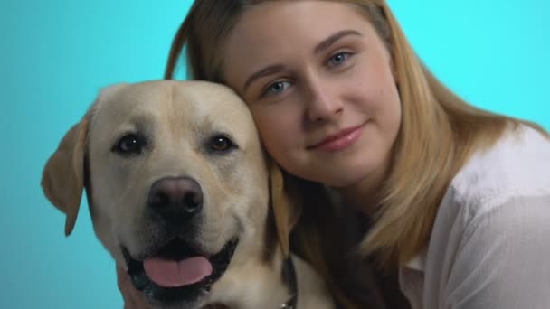 Красивая молодая женщина и собака-лабрадор, смотрящая в камеру крупным планом на синем фоне — стоковое видео