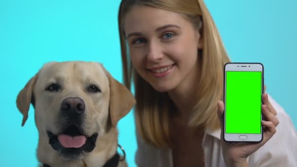 Счастливый владелец собаки показывает смартфон с зеленым экраном, симпатичный питомец смотрит в камеру, приложение — стоковое видео