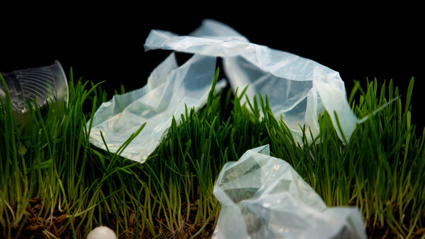 Plastic bags and cups lying on grass, trash left after irresponsible picnickers