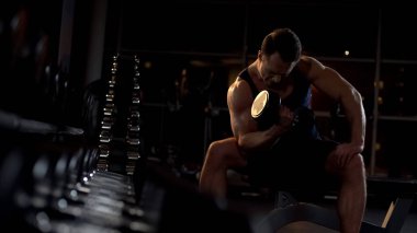 Motive vücut geliştirmeci oturmuş izole dumbbell curl yapıyor, akşam egzersiz