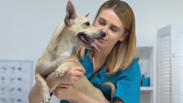 Kamera, Pet sağlık gülümseyen sevimli köpek tutan neşeli kadın veteriner — Stok video