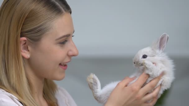 Pretty girl holding rabbit, playing with favorite pet, stress relieving therapy — Stock Video