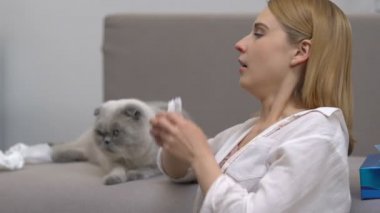 Kız hapşırma, kedi alerjisi acı, hipoalerjenik İskoç kat doğurmak
