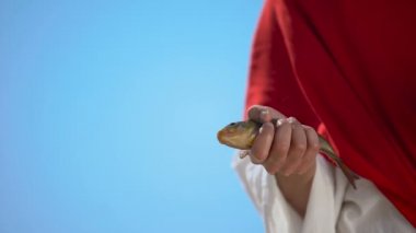 Erkek el boğan balık tutan, türlerin yok olma, okyanusların kirliliği