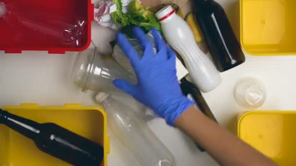 Eco voluntario en guantes clasificando basura en diferentes cajas, reciclaje, time-lapse — Vídeo de stock