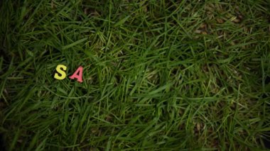 Yeşil çim, çevre koruma, eko gönüllülük üzerinde gezegen ifade kaydedin