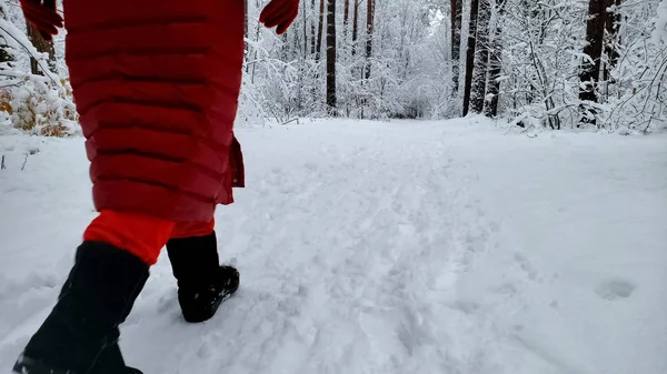 Человек Гуляющий Лесу Покрытому Снегом Наслаждающийся Природой Зимней Страной Чудес — стоковое фото