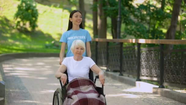 Happy social volunteer walking hospital garden with disabled elderly pensioner — Stock Video