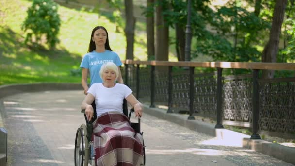 Mujer joven empujando disgustada silla de ruedas anciana, depresión enfermedad, medicina — Vídeos de Stock