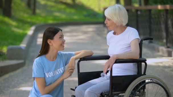 Старша леді в інвалідному візку розмовляє з волонтером, підтримка розмов — стокове відео