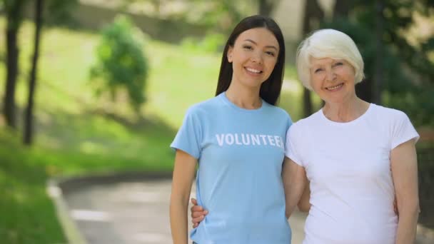 Joyful young woman and aged lady pointing at volunteer word on t-shirt, charity — Stock Video