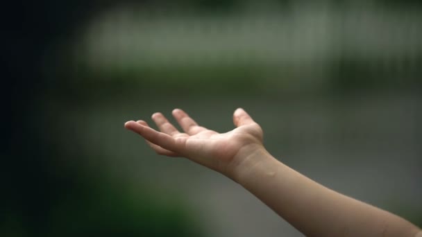 Kis gyermek kezét gyönyörködtető esőcseppek közelről, boldog és gondtalan gyermekkori — Stock videók