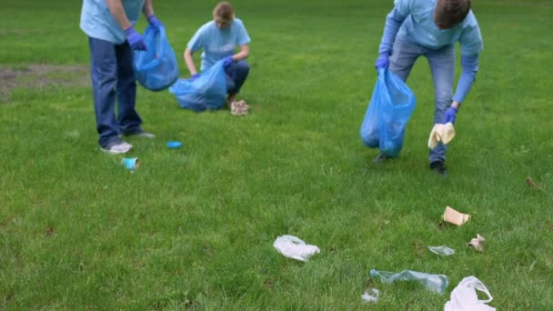 Wolontariusze zbierający śmieci w parku, zdrowy ekosystem, ochrona zasobów — Wideo stockowe