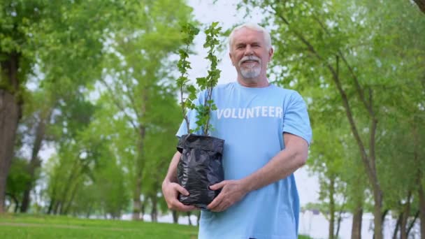 Старший чоловік-доброволець тримає саджанець рослин усміхненою камерою, лісовідновлення — стокове відео