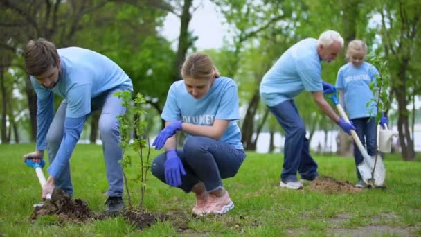 Voluntários plantando mudas de árvores no parque, conservação de recursos naturais, cuidado — Vídeo de Stock