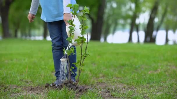 Kvinnlig unge vattning träd planta skog, naturresurser bevarande, ekologi — Stockvideo