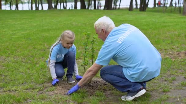 Ευτυχισμένος ανώτερος εθελοντής και χαμογελαστή θηλυκό παιδί φυτεύοντας δέντρο μαζί, οικολογία — Αρχείο Βίντεο