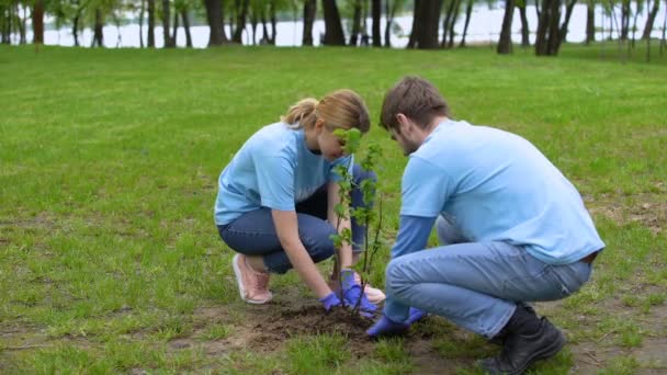 Молодые мужчины и женщины-волонтеры сажают кустарник, улыбаются друг другу — стоковое видео