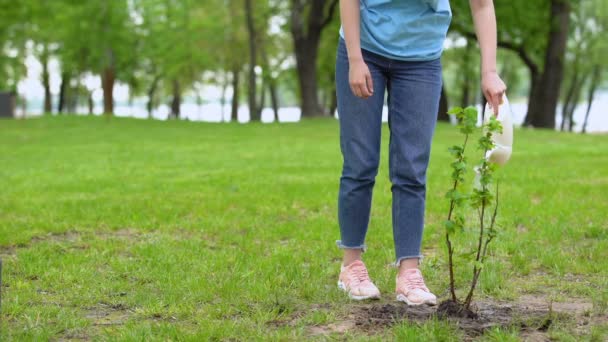 Leende kvinnliga volontär vattning buske i Park letar träd, respekt för naturen — Stockvideo