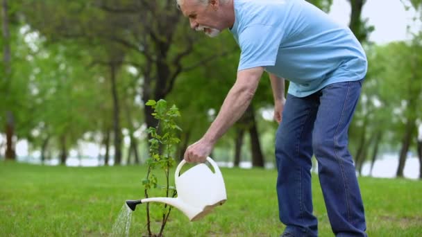 Зрелый мужчина поливает зеленые растения парк, ответственный эко-волонтер, лесовосстановление — стоковое видео