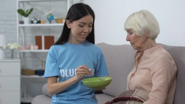 Joven voluntaria alimentando a anciana a domicilio, atendiendo a paciente de hospicio — Vídeos de Stock