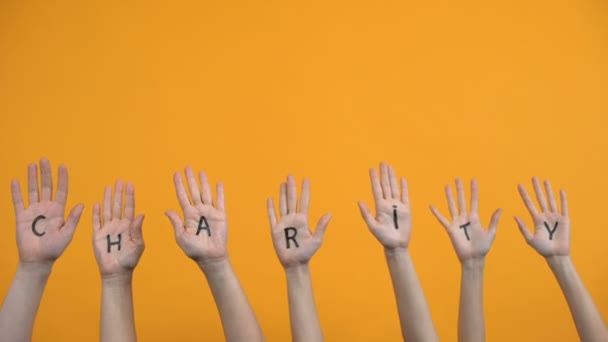 Caridade palmas escritas em fundo laranja, centro de doação, projeto voluntário — Vídeo de Stock