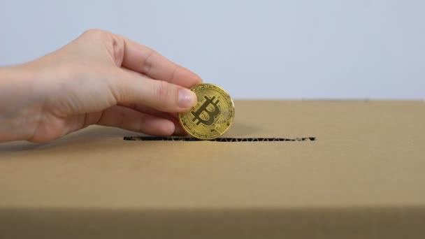 Poner a mano bitcoin en caja de cartón, servicio de donación en línea, pago por Internet — Vídeos de Stock