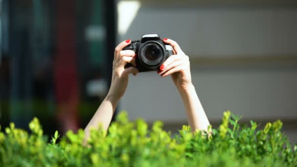 Kvinna händer håller foto kamera bakom Park Bush, privatdetektiv, spioneri — Stockvideo