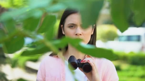 Frau mit Fernglas versteckt sich hinter Bäumen, Journalistin auf der Suche nach Sensation — Stockvideo