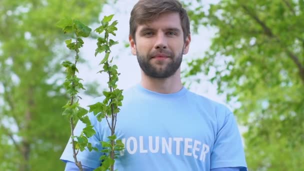 Homem sorridente voluntário segurando árvore brotando desmatamento resolução de problemas, natureza — Vídeo de Stock