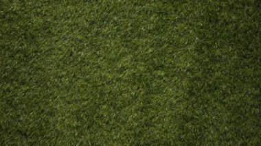 Plastik bardak parkta rüzgar tarafından haddelenmiş, küresel kirlilik tehlikesi, tehlikeli kimyasallar