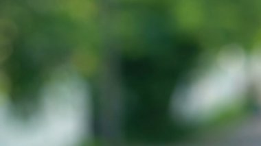 Emlakçıdan ev anahtarı alan kadın el, daire kirası, mülk