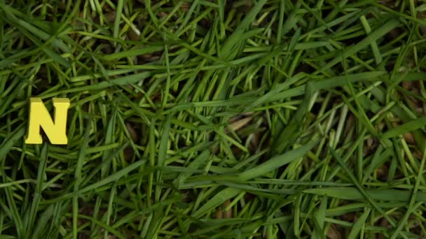 No hay letras de desecho que aparecen en la hierba verde, protesta contra el plástico de un solo uso — Vídeos de Stock