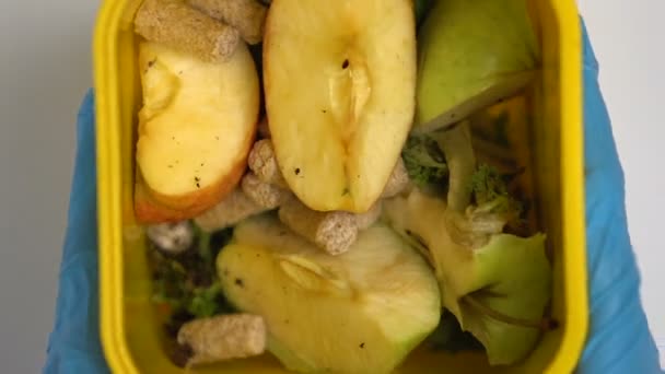 Mann in Handschuhen stellt Plastikbehälter mit kompostierbaren Lebensmittelabfällen auf, sortiert — Stockvideo