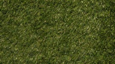 Parkta yeşil çim üzerinde tek kullanımlık plastik kap atma kişi, sorun çöp