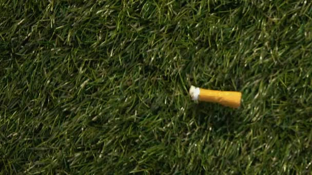 Cigarrillo trasero tirado hacia fuera en la hierba verde, efecto dañino en el ecosistema, concepto — Vídeo de stock