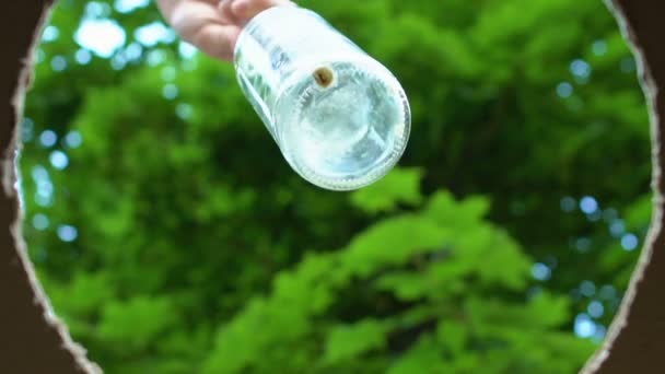 Mão colocando garrafa de vidro vazia em lixeira na rua, salvar conceito planeta — Vídeo de Stock