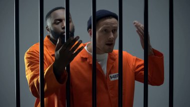 Siyah ve Kafkas mahkûm mahkumlar komşular ile tartışarak, aşırı kalabalık