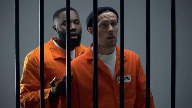 Hapishane mahkûmları komşularıyla kavga ediyor, hapishanelerde şiddet ve saldırganlık var