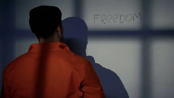 Wolność Słowo Napisane Ścianie Więzienia Wzywając Pomocy Więzień Protestujących — Zdjęcie stockowe