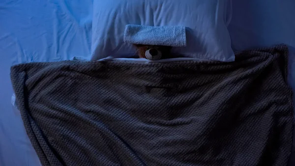 Игрушечный Плюшевый Мишка Лежит Постели Одеялом Полотенцем Лбу Жар Слабость — стоковое фото