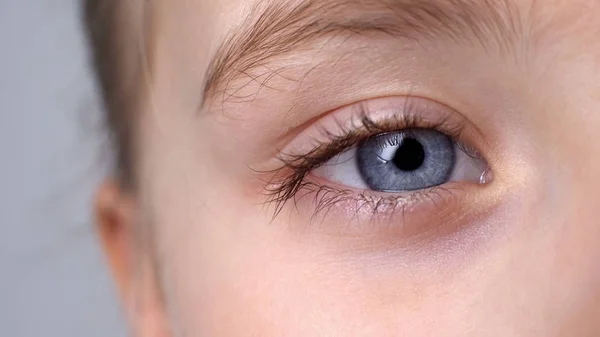 Kind Mit Blauen Augen Das Die Kamera Schaut Sehkontrolle Augenheilkunde — Stockfoto