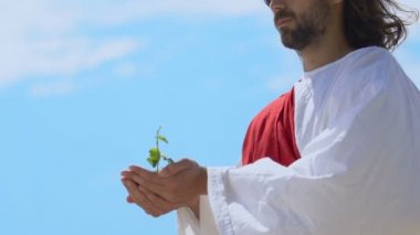 Tanrı İsa gökyüzü arka plan üzerinde filiz yükselterek, dünya yaratılış 3 gün, yaratılış