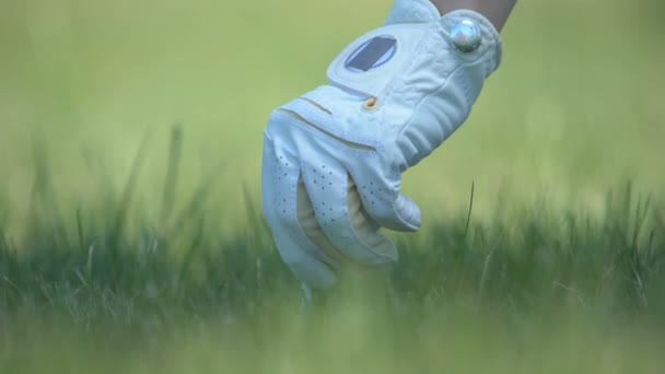 Main de golfeur en gant blanc teeing up ball to hit, préparation au tir, sport — Video