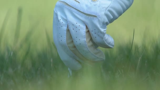 Person placing tee box and putting golf ball on it, long-distance hit, close-up — Stock Video