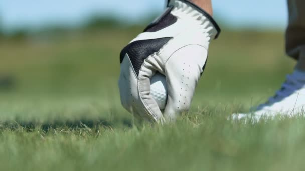 Golf spelare i professionell läderhandske tee upp bollen innan skott, närbild — Stockvideo