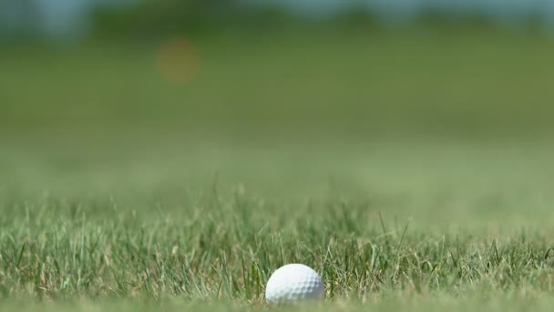 Жінка гольф початківець гравець лежить на траві і дме м'яч в лунку, отримуючи задоволення — стокове відео
